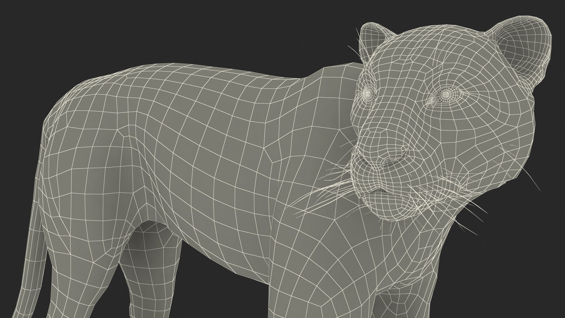 Jaguar Stand Pose 3D https://p.turbosquid.com/ts-thumb/Ws/BlhCVp/3Q/jaguarstandposec4dmodel036/jpg/1713409723/1920x1080/fit_q87/7c366539d2d8c13dd4bc3b5efdb99982496876d7/jaguarstandposec4dmodel036.jpg
