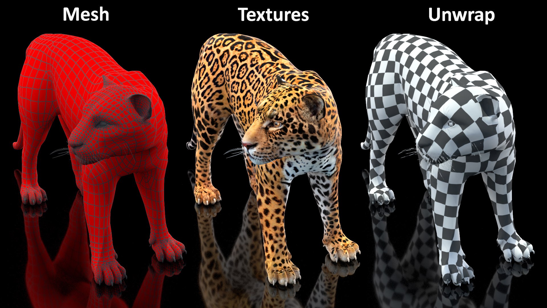Jaguar Stand Pose 3D https://p.turbosquid.com/ts-thumb/Ws/BlhCVp/8c/jaguarstandposec4dmodel023/jpg/1713409668/1920x1080/fit_q87/7ad867bcca9336ac020ef5b16462930e4133e36d/jaguarstandposec4dmodel023.jpg