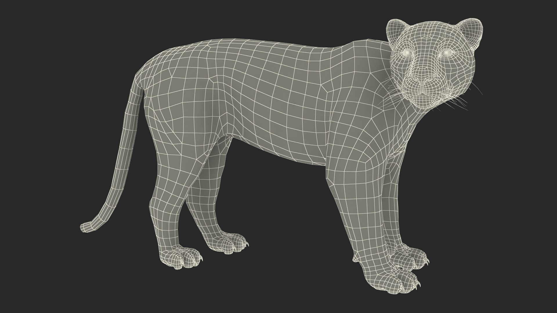 Jaguar Stand Pose 3D https://p.turbosquid.com/ts-thumb/Ws/BlhCVp/OA/jaguarstandposec4dmodel032/jpg/1713409706/1920x1080/fit_q87/12af9077715cad04715d034a7f3ac8bca1144a0c/jaguarstandposec4dmodel032.jpg