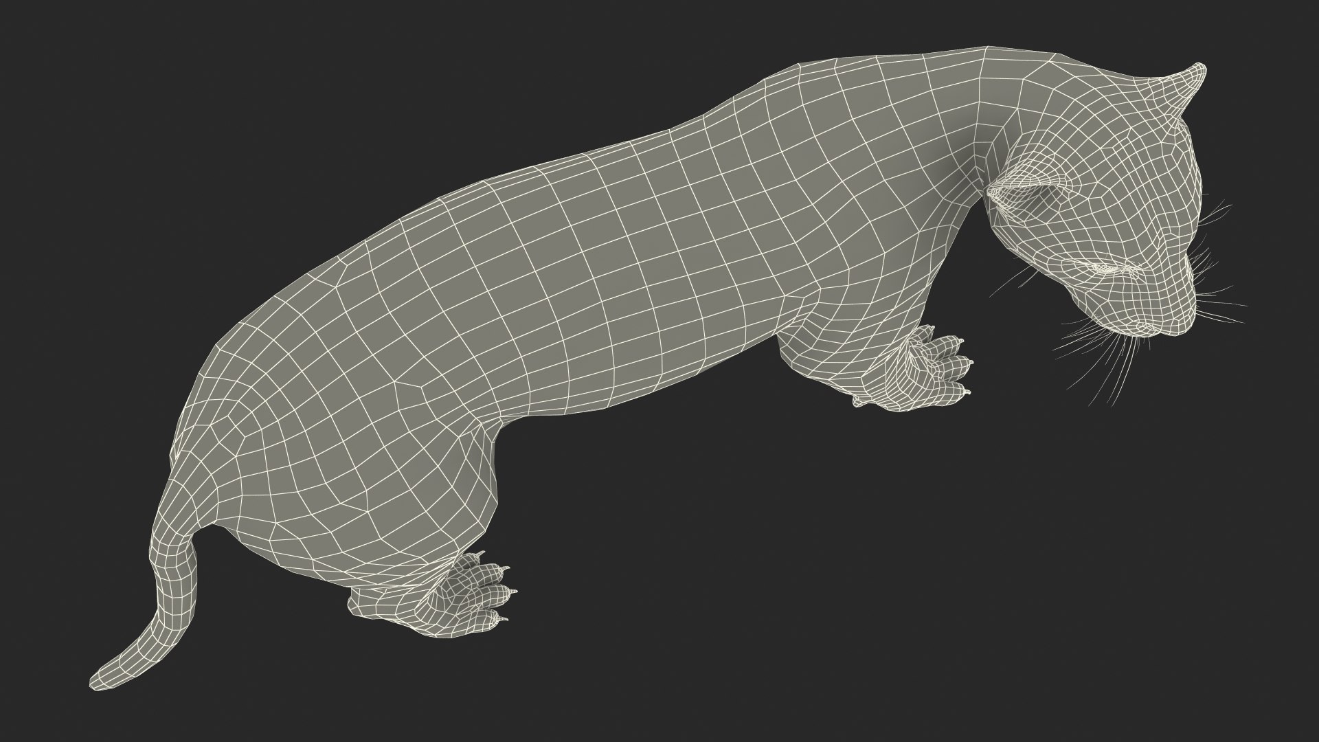 Jaguar Stand Pose 3D https://p.turbosquid.com/ts-thumb/Ws/BlhCVp/Vp/jaguarstandposec4dmodel034/jpg/1713409715/1920x1080/fit_q87/3e31f9d3def28dfa66e23aaa4c3fd569d5b75f7a/jaguarstandposec4dmodel034.jpg