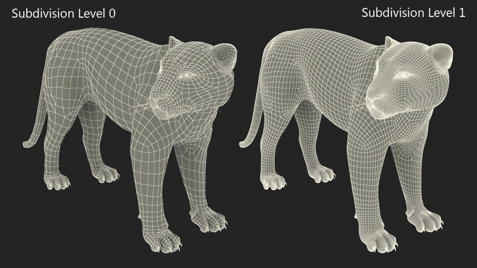 Jaguar Stand Pose 3D https://p.turbosquid.com/ts-thumb/Ws/BlhCVp/Xw/jaguarstandposec4dmodel024/jpg/1713409672/1920x1080/fit_q87/5a81e3ecb9c98b5b42e2f959b153e74bfd1e87fa/jaguarstandposec4dmodel024.jpg