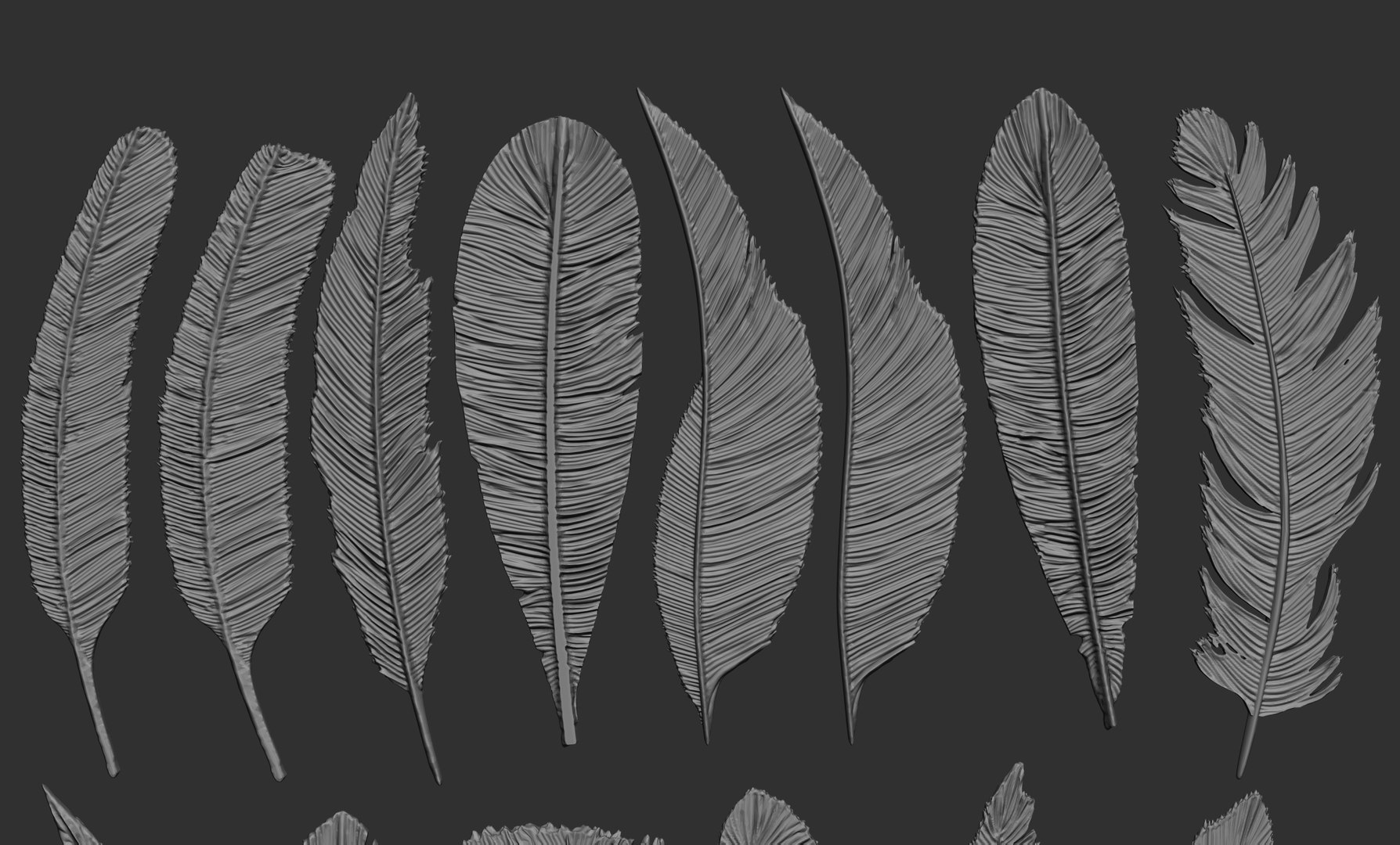Feathers 3D https://p.turbosquid.com/ts-thumb/Ws/J5oyge/3t/4/jpg/1649609768/1920x1080/fit_q87/983779a5e0268db7a1cc28a2fb149babef14dffd/4.jpg