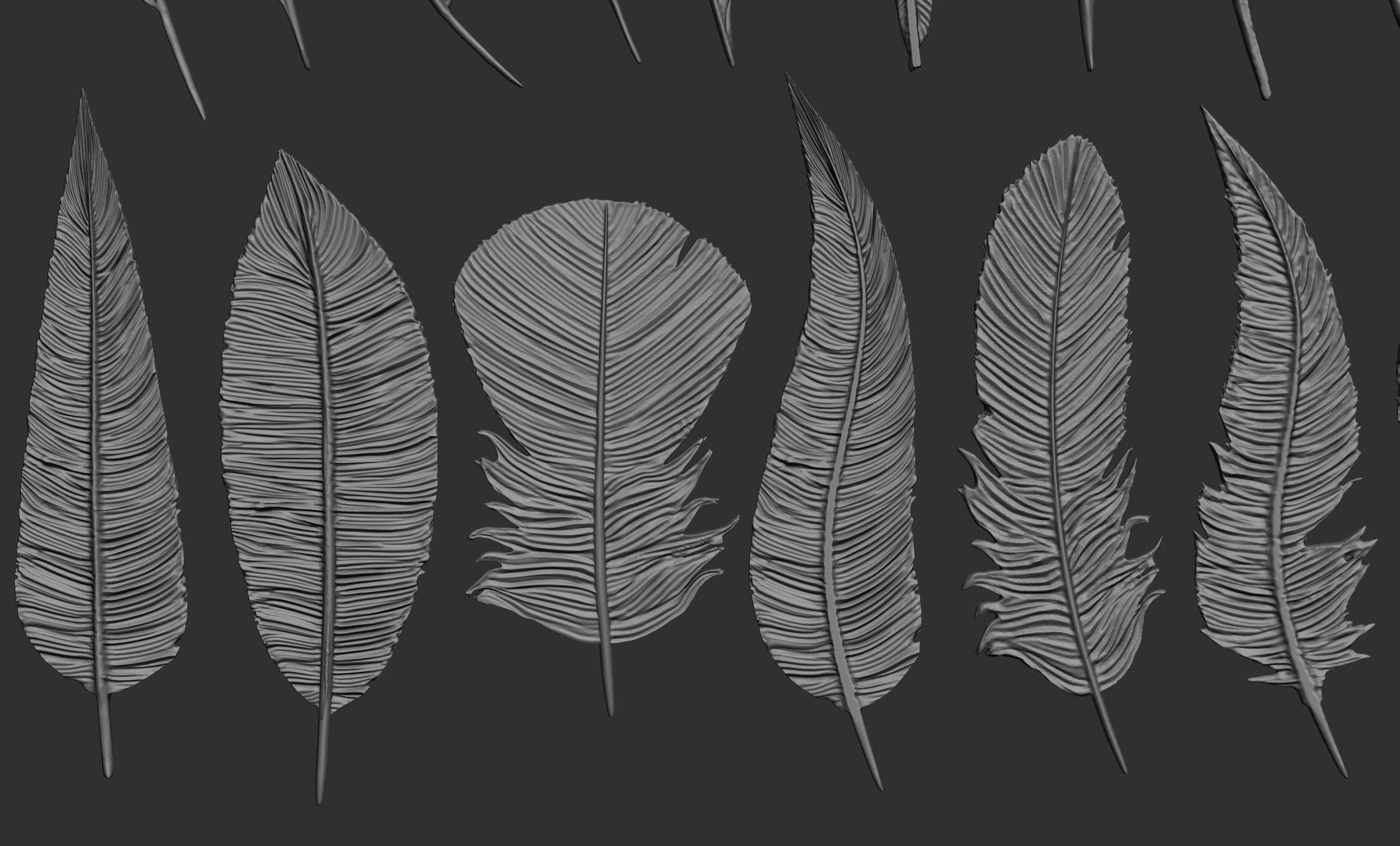 Feathers 3D https://p.turbosquid.com/ts-thumb/Ws/J5oyge/8D/5/jpg/1649609769/1920x1080/fit_q87/cc5e3a57e2d074fe623e3ecf24e8759e56767b1d/5.jpg