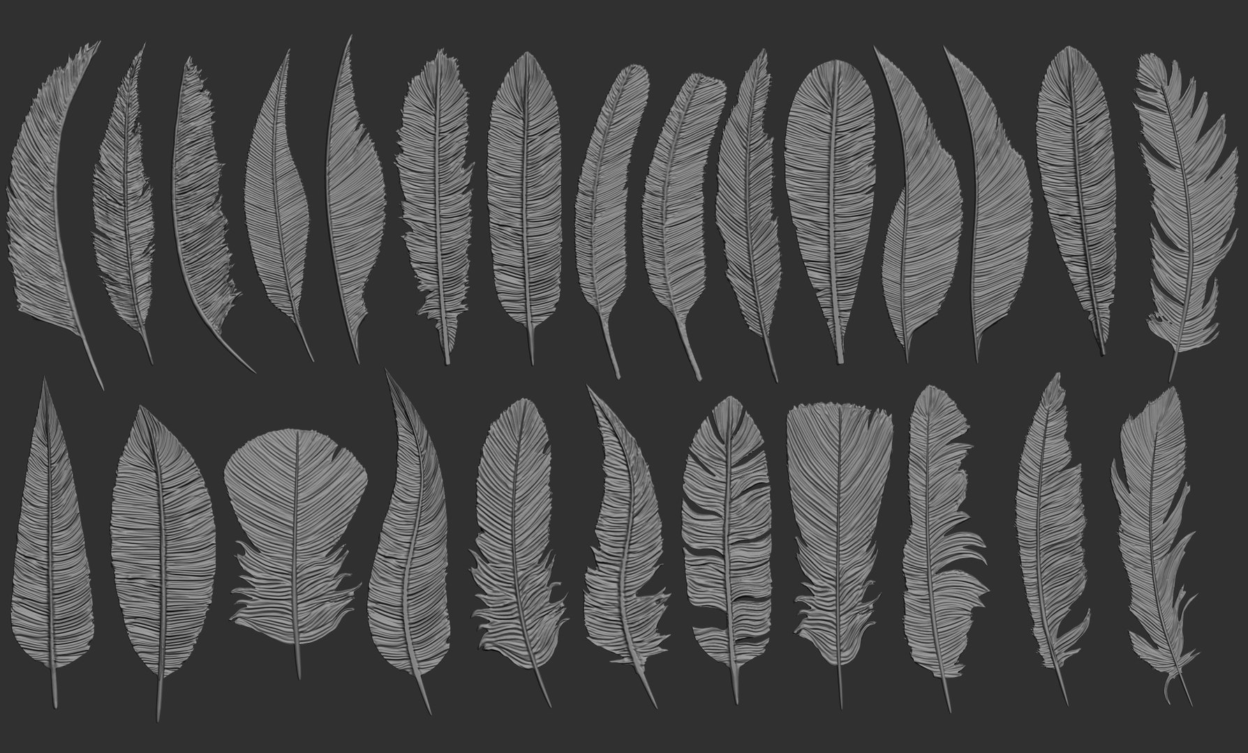 Feathers 3D https://p.turbosquid.com/ts-thumb/Ws/J5oyge/9W/zbrushdocument/jpg/1649609769/1920x1080/fit_q87/7f1e1fe74678694e44c8db8c59b3171ad7a40a0c/zbrushdocument.jpg