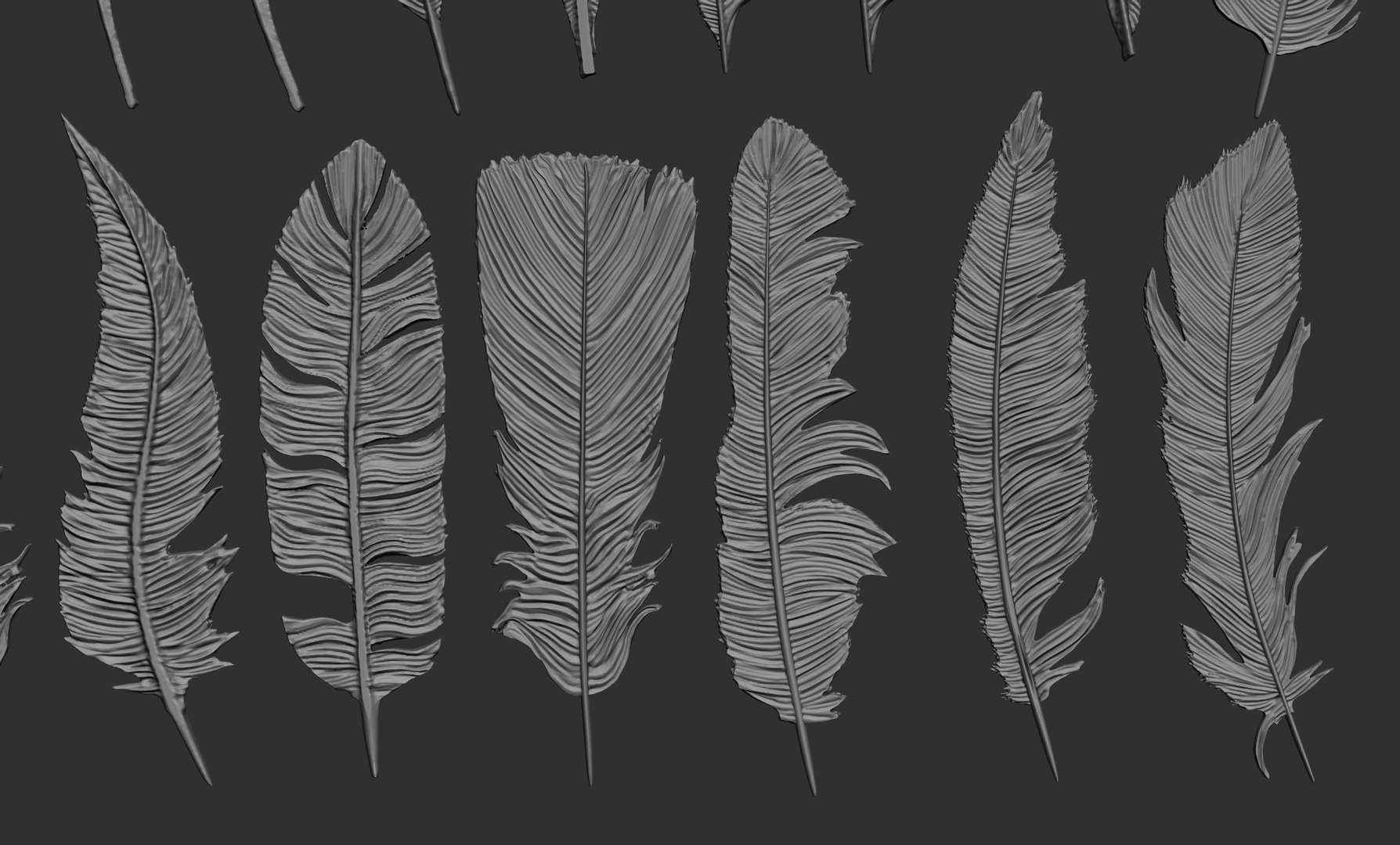 Feathers 3D https://p.turbosquid.com/ts-thumb/Ws/J5oyge/Bc/6/jpg/1649609769/1920x1080/fit_q87/2d82e8ad53f11600b13f58c6740eab41d00024e9/6.jpg