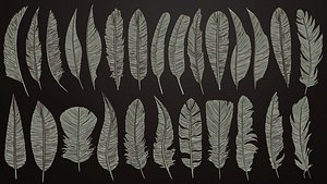 Feathers