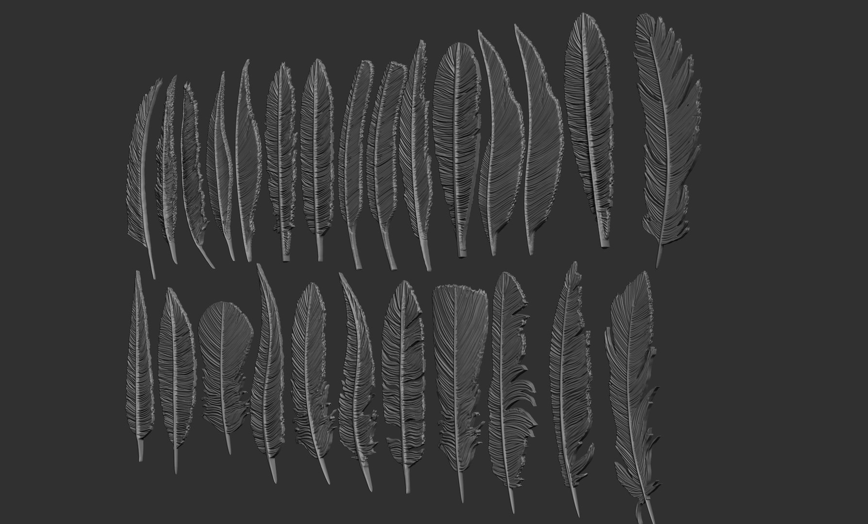 Feathers 3D https://p.turbosquid.com/ts-thumb/Ws/J5oyge/fb/2/jpg/1649609768/1920x1080/fit_q87/6b9fb1c58f53392a312b483d3ebc117c1b3b318f/2.jpg