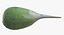 Green Raphanus