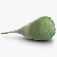 Green Raphanus