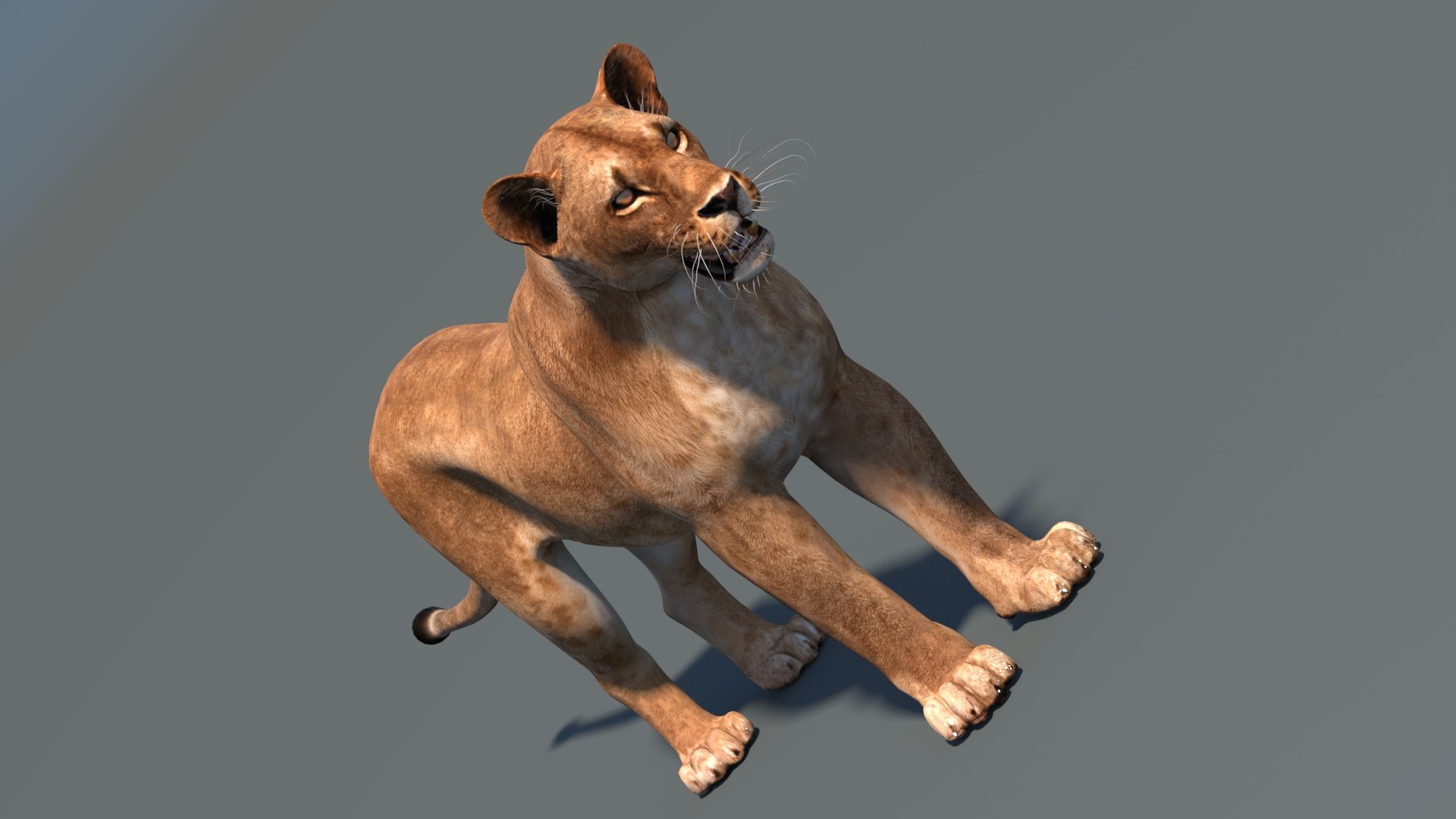 lioness lion 3d max https://p.turbosquid.com/ts-thumb/Ws/cx01f7/sJ/lioness3dmodel06/jpg/1744049873/1920x1080/fit_q87/5a53d1ce7e5a61d420759db3fc14476085eb9788/lioness3dmodel06.jpg
