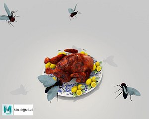 3D food chicken turkey model