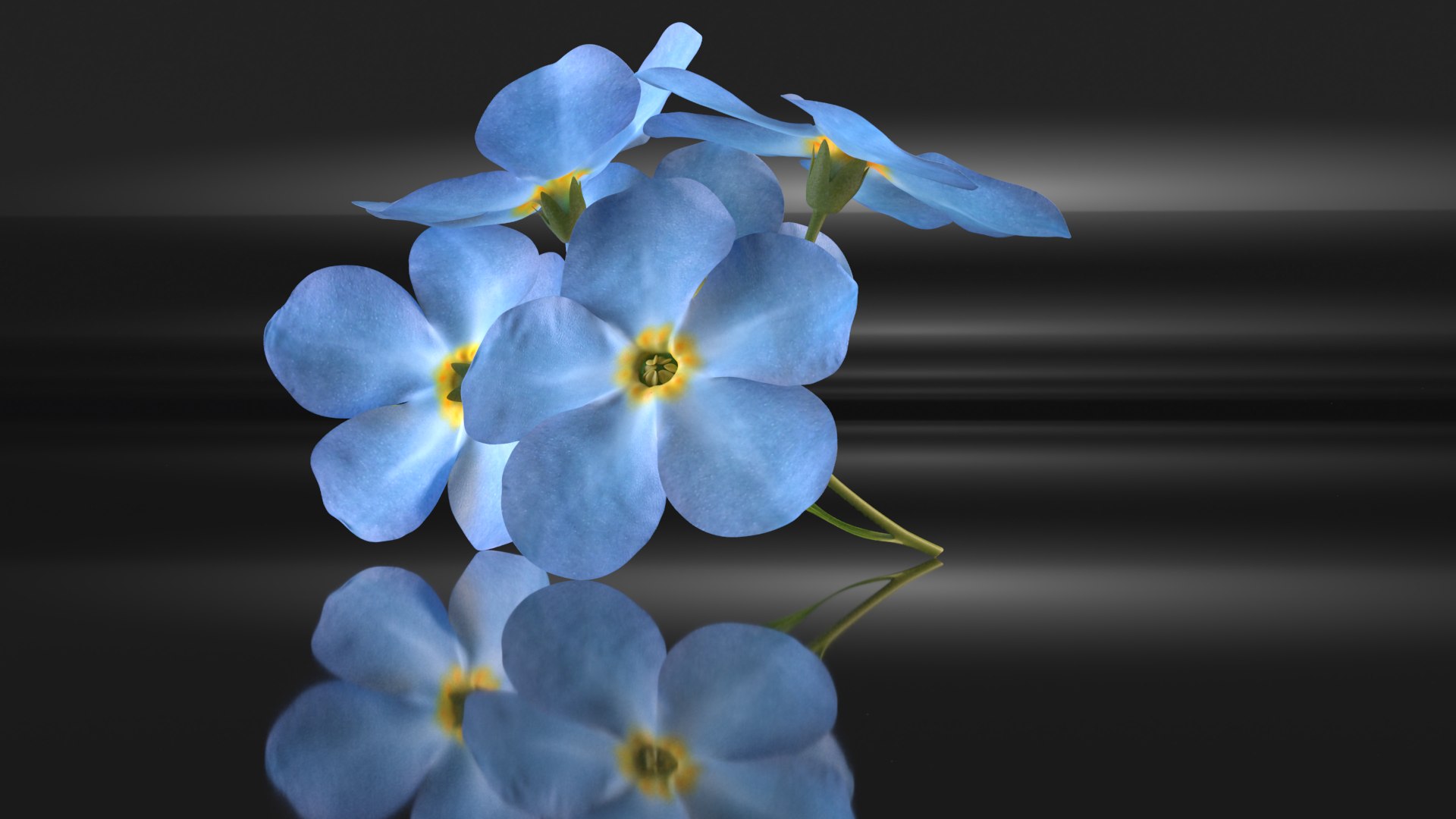 Forget-me-not flowers decor herb 3D model https://p.turbosquid.com/ts-thumb/Ws/j24pzG/4L/2/png/1648613576/1920x1080/fit_q87/bf4e2c11728c7a768a1ac4aff50202fcc280e58b/2.jpg