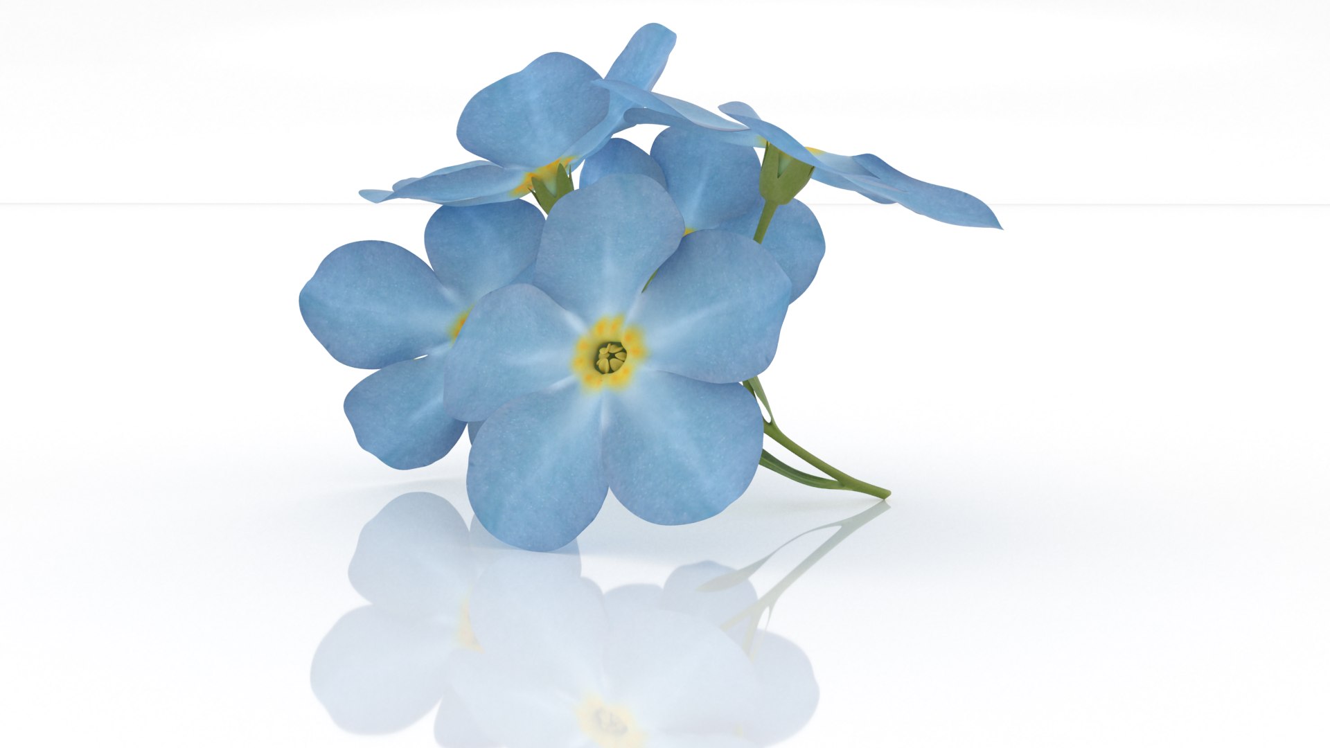 Forget-me-not flowers decor herb 3D model https://p.turbosquid.com/ts-thumb/Ws/j24pzG/6i/222/png/1784392120/1920x1080/fit_q87/ba875d67afb97fa4853156d239f238bd65a8c384/222.jpg