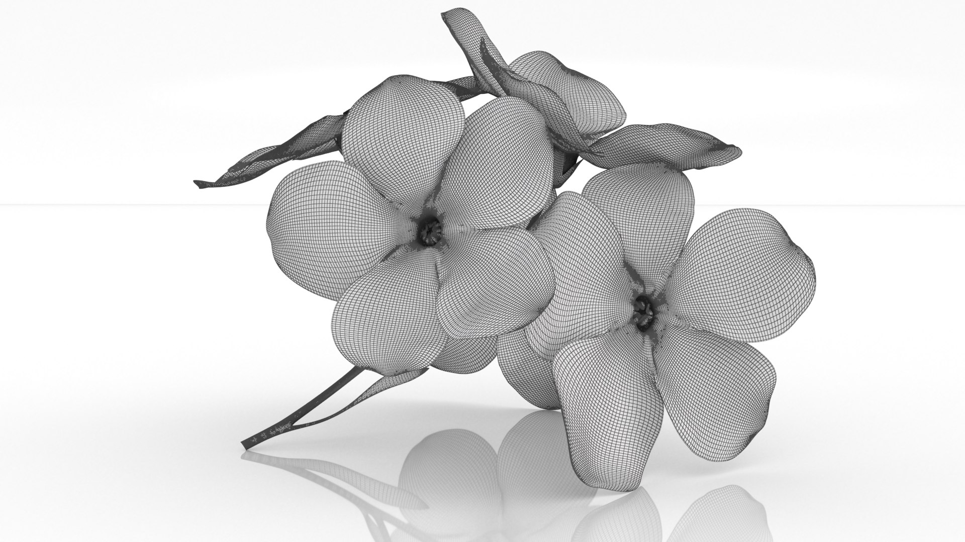 Forget-me-not flowers decor herb 3D model https://p.turbosquid.com/ts-thumb/Ws/j24pzG/A2/7/png/1648614553/1920x1080/fit_q87/fd626b366d62ad83333e66a1de73797a407250e4/7.jpg