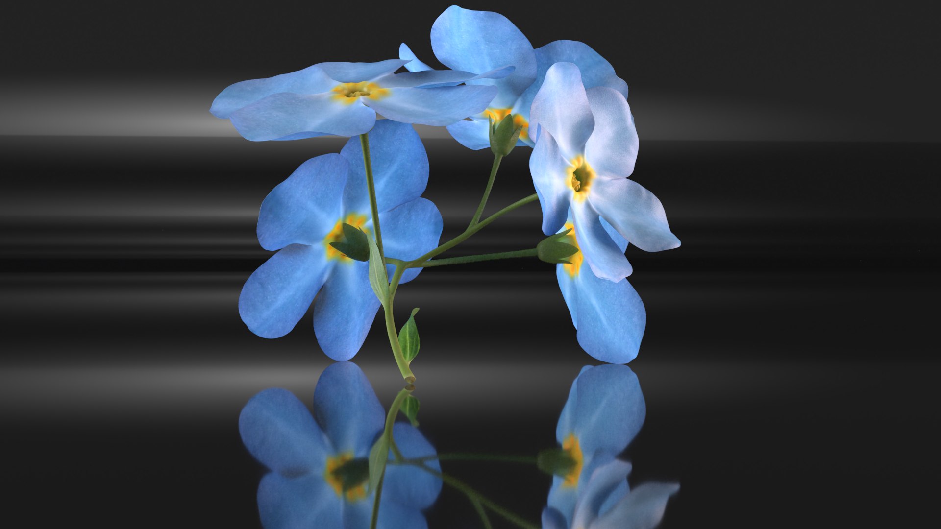 Forget-me-not flowers decor herb 3D model https://p.turbosquid.com/ts-thumb/Ws/j24pzG/AB/3/png/1648613601/1920x1080/fit_q87/155cc0983e381e37877f814a124bf027ab7d155d/3.jpg