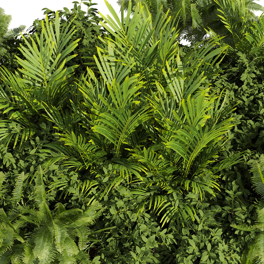 3D plant vol 1012 - garden - fern - banana - palm https://p.turbosquid.com/ts-thumb/Ws/nCP2xZ/1C/2/jpg/1788873910/1920x1080/fit_q87/2dc80a8142ae0ffead04317ec68dbe3ce970bff0/2.jpg