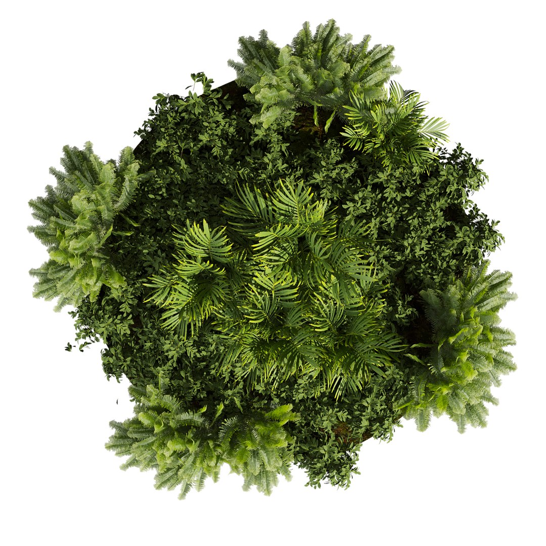 3D plant vol 1012 - garden - fern - banana - palm https://p.turbosquid.com/ts-thumb/Ws/nCP2xZ/1Q/3/jpg/1788873910/1920x1080/fit_q87/00e98d27d09c20d222d39561cf3dbfce35de8ec9/3.jpg