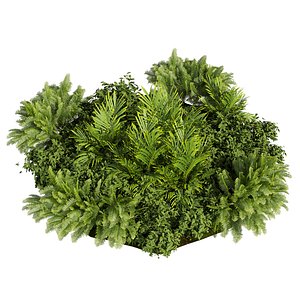 3D plant vol 1012 - garden - fern - banana - palm