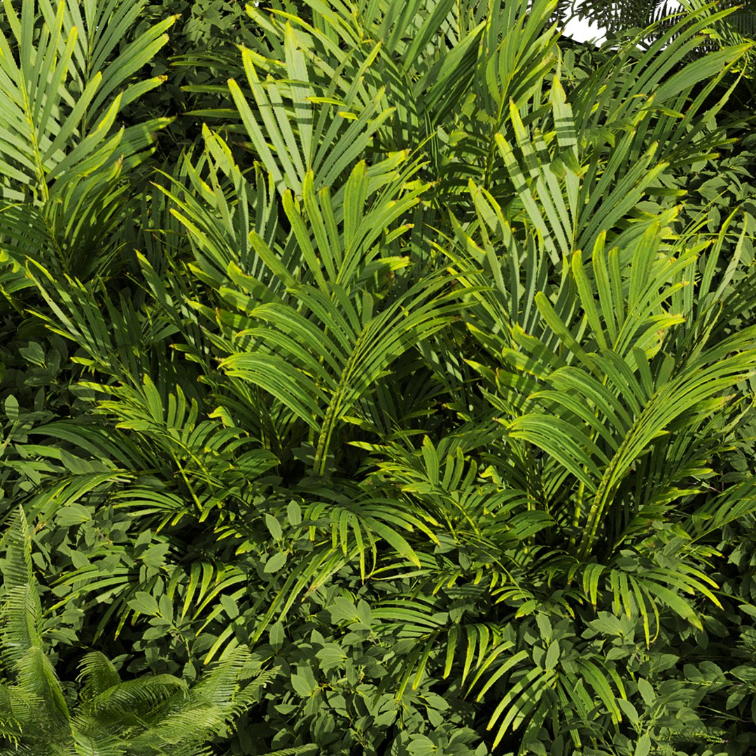 3D plant vol 1012 - garden - fern - banana - palm https://p.turbosquid.com/ts-thumb/Ws/nCP2xZ/Qm/4/jpg/1788873912/1920x1080/fit_q87/12e253657c042a8771fd444edeaaf24cc4435eaa/4.jpg