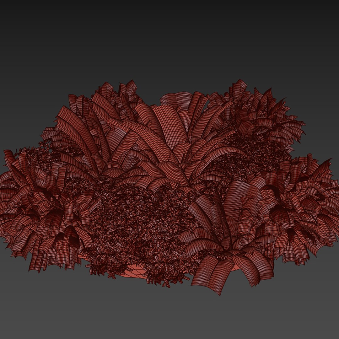 3D plant vol 1012 - garden - fern - banana - palm https://p.turbosquid.com/ts-thumb/Ws/nCP2xZ/ou/6/jpg/1788873913/1920x1080/fit_q87/592cc8db52c120cbb31933e91ba4cd7c137d9a20/6.jpg