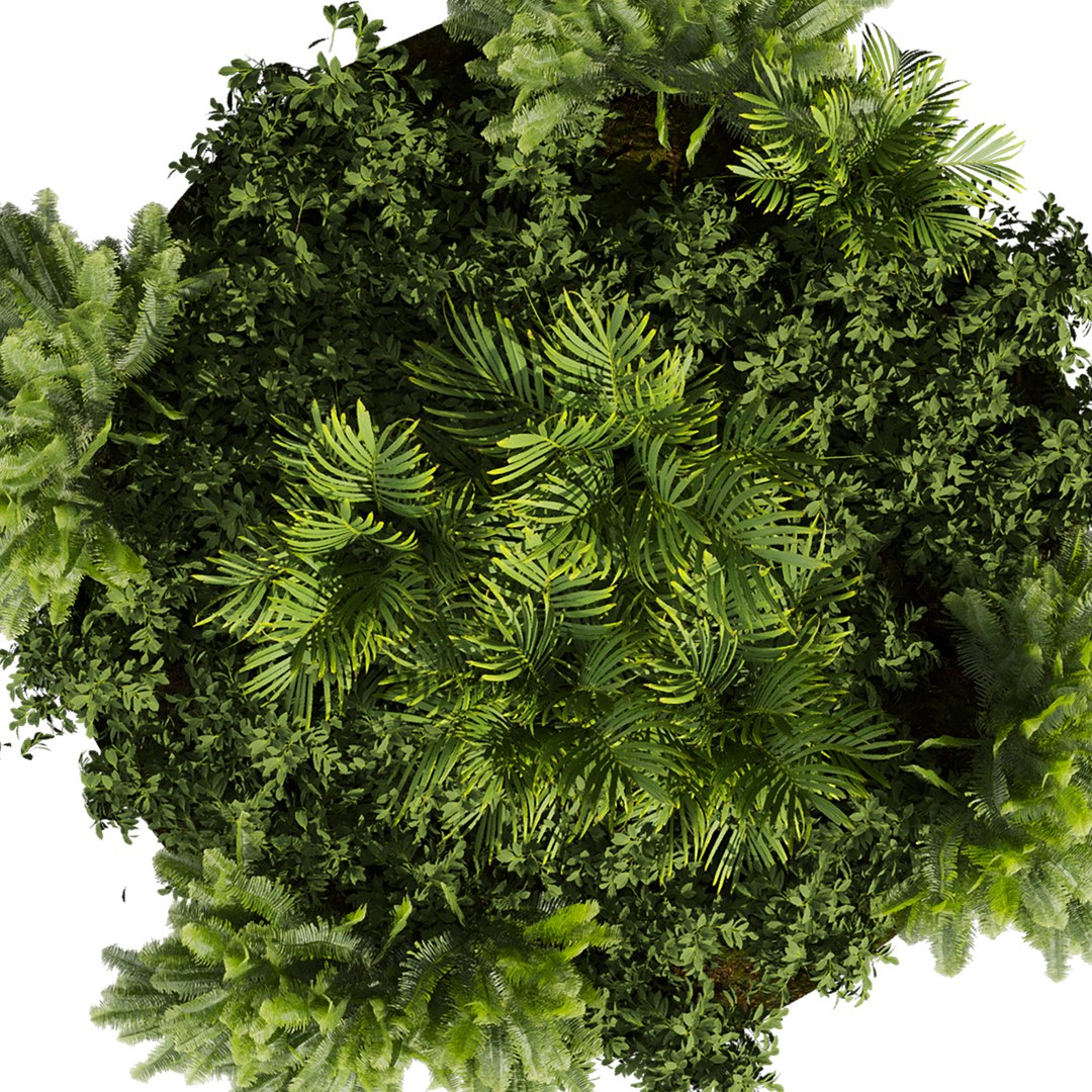 3D plant vol 1012 - garden - fern - banana - palm https://p.turbosquid.com/ts-thumb/Ws/nCP2xZ/sb/5/jpg/1788873913/1920x1080/fit_q87/9dca8a393421140f0b492e3cb3e0946b7488a095/5.jpg