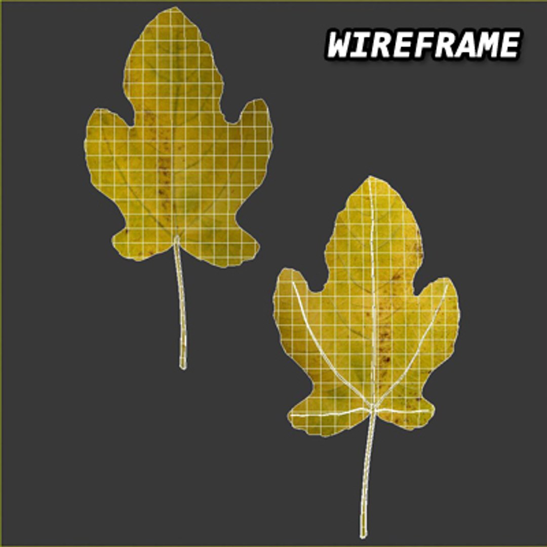 resolution leave 3d model https://p.turbosquid.com/ts-thumb/Ws/oLohV1/NXLXrStR/wireframe/jpg/1278456257/1920x1080/fit_q87/a70c4f9dbc639b7ec60d0983e5485ab3793bbb98/wireframe.jpg