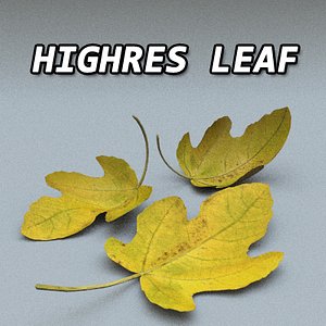 resolution leave 3d model