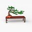 Bonsai