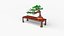 Bonsai