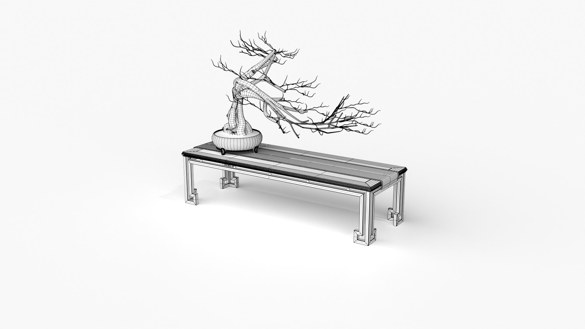 3D model Bonsai https://p.turbosquid.com/ts-thumb/Ws/p7VhF1/xe/wireframe_bonsai_09/jpg/1775030375/1920x1080/fit_q87/e5f44d1f848d52cf1caa357daeba797de76f0d73/wireframe_bonsai_09.jpg