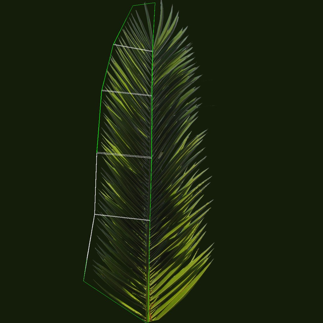date palm tree 3d model https://p.turbosquid.com/ts-thumb/Ws/ylwtIE/08c8BK9P/palmuv1/jpg/1341942284/1920x1080/fit_q87/e047fa93f0d6f17865f88746b3956d8999b00637/palmuv1.jpg