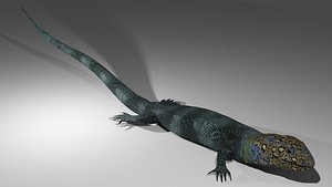 3D lizard rigged animations model