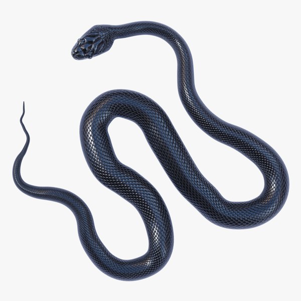 Rigged Black Rat Snake 3D model