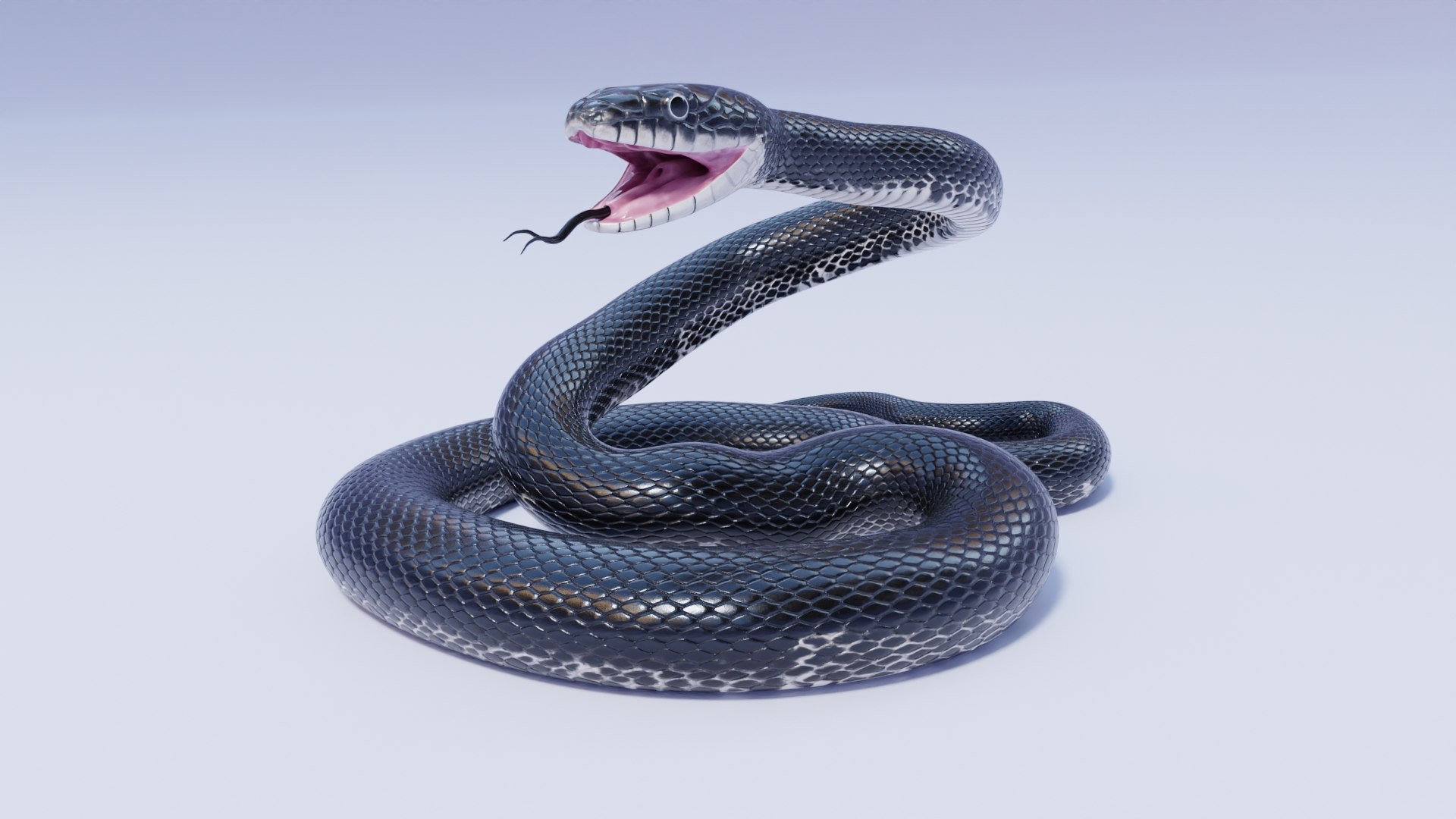 Rigged Black Rat Snake 3D Model - TurboSquid 1952243