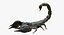 Scorpion (Rigged)
