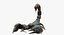 Scorpion (Rigged)