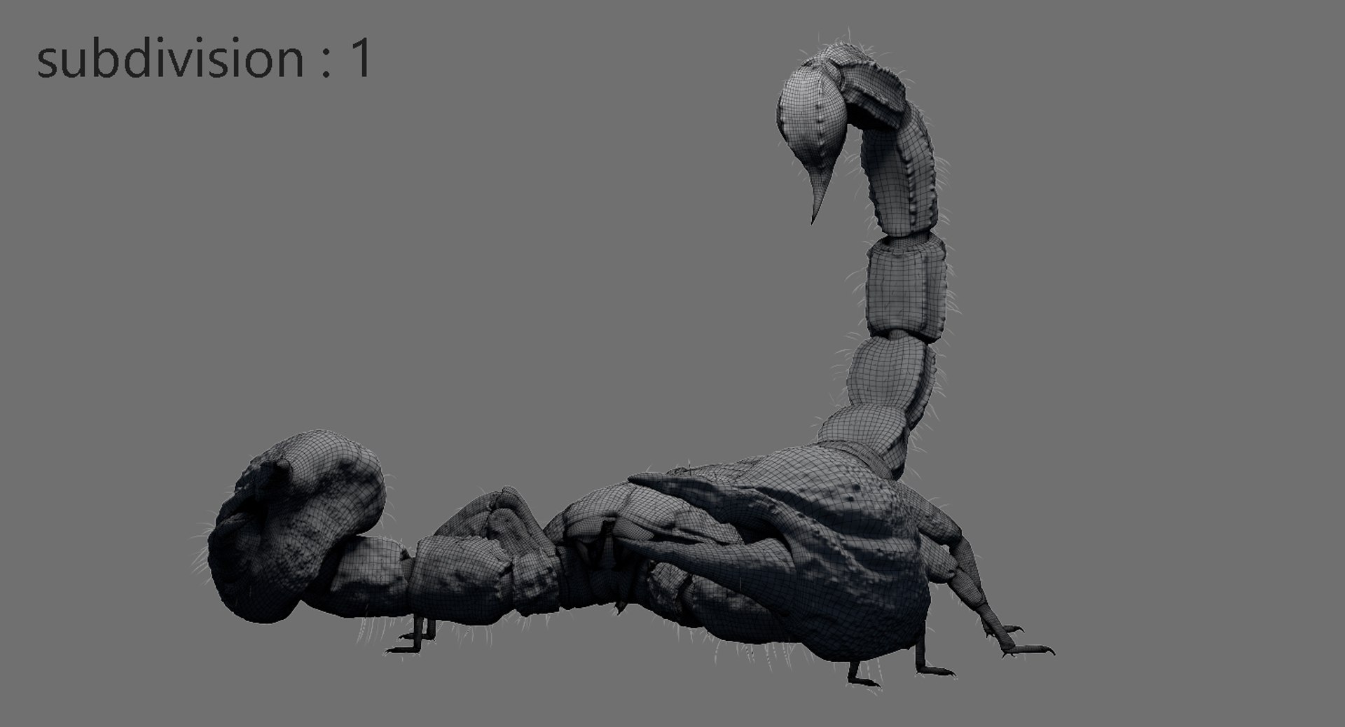 3D model scorpion rigged https://p.turbosquid.com/ts-thumb/Wt/drE6Tq/gBvv3VSr/18/jpg/1529823168/1920x1080/fit_q87/d3ead2bda082e09061bce5fcfa8b8b6f0a28ec3a/18.jpg
