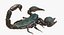 Scorpion (Rigged)