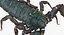 Scorpion (Rigged)