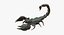 Scorpion (Rigged)