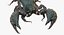 Scorpion (Rigged)