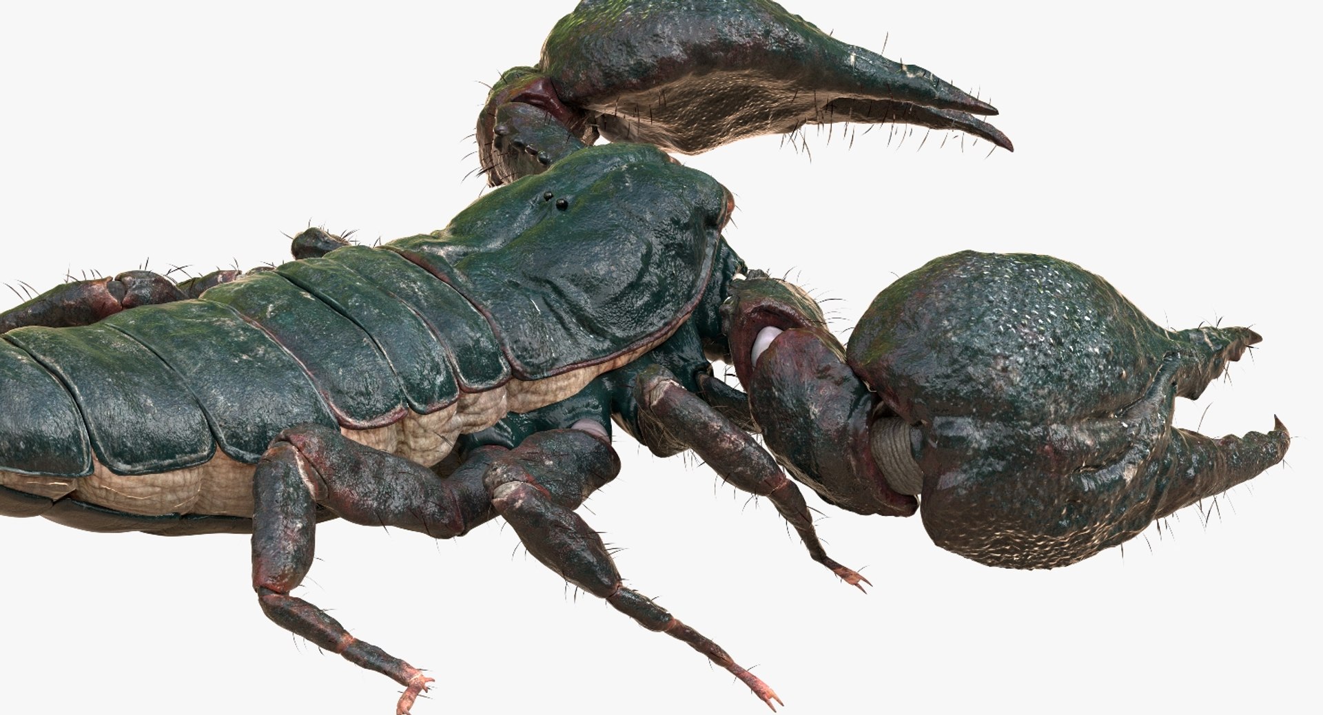 3D model scorpion rigged https://p.turbosquid.com/ts-thumb/Wt/drE6Tq/xbg3DuvA/10/jpg/1529823168/1920x1080/fit_q87/64585d0b433192a90272671259d4b186c91dc4cb/10.jpg