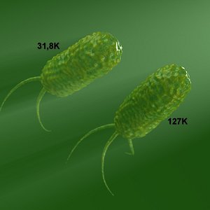 bacteria 3D