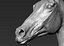 Horse head Realistic(1)