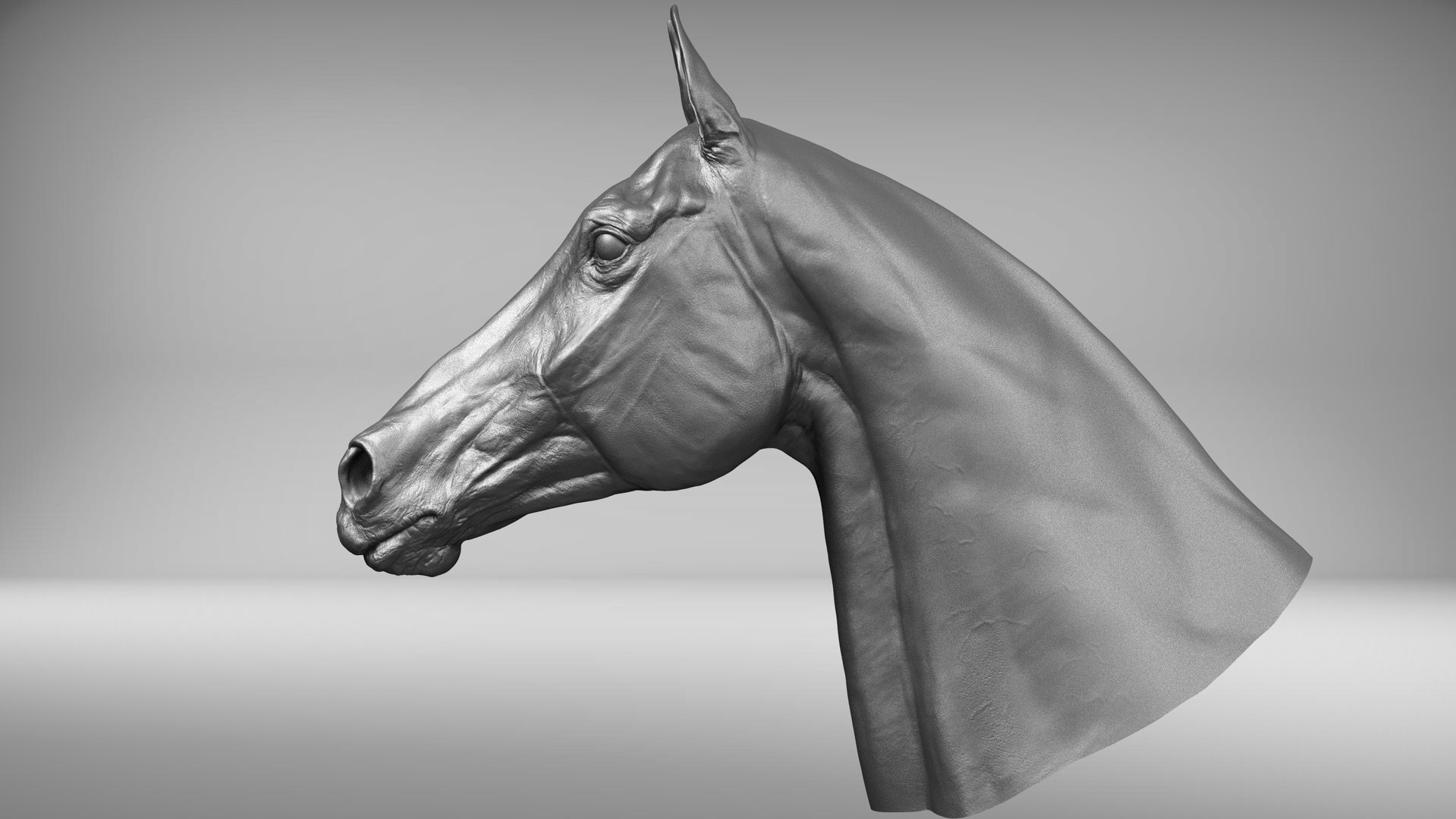 3D horse head realistic https://p.turbosquid.com/ts-thumb/Wt/yTT3XJ/1zGIoYKz/black_stallion.31379403/jpg/1550505689/1920x1080/fit_q87/0d0c676538c151f08a6c50da542d1d1887fca7fc/black_stallion.31379403.jpg