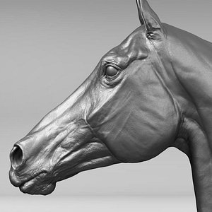 3D horse head realistic