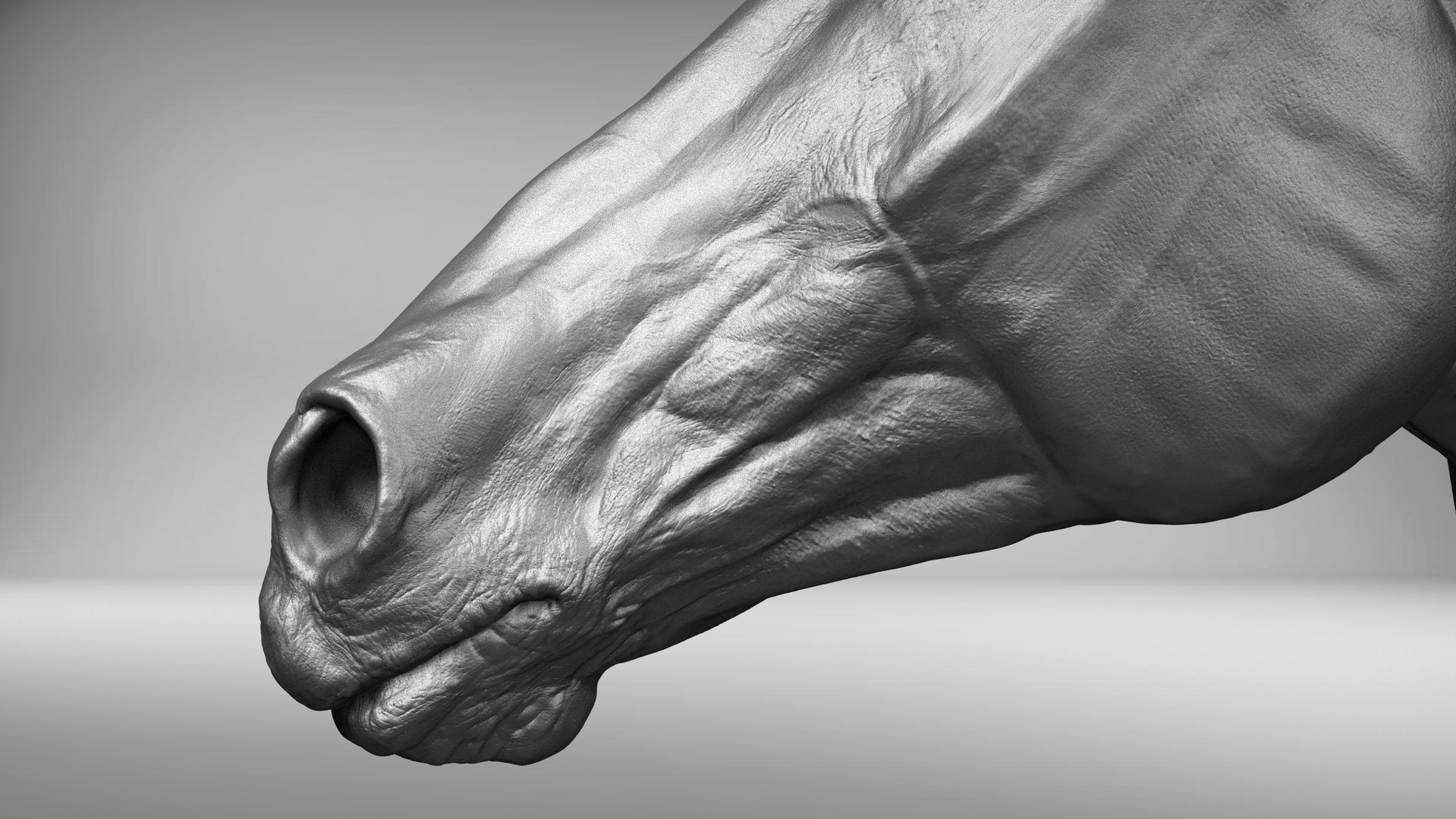 3D horse head realistic https://p.turbosquid.com/ts-thumb/Wt/yTT3XJ/7eY43GOm/black_stallion.31379405/jpg/1550505748/1920x1080/fit_q87/f9d8734a46dd918fdcc1d36fa91f677d2038bb33/black_stallion.31379405.jpg
