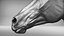 Horse head Realistic(1)