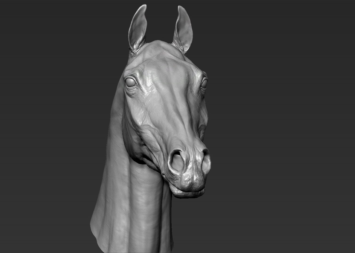 3D horse head realistic https://p.turbosquid.com/ts-thumb/Wt/yTT3XJ/DloALny1/3/jpg/1550507707/1920x1080/fit_q87/a4af1633f71730e51ab3036f2d766a2058114eda/3.jpg