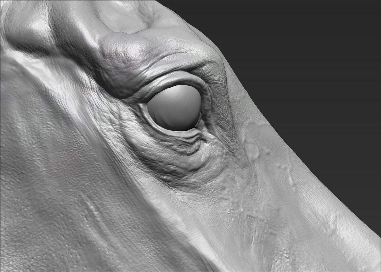 3D horse head realistic https://p.turbosquid.com/ts-thumb/Wt/yTT3XJ/DoxIUJNQ/10/jpg/1550507707/1920x1080/fit_q87/7721ac3e02e175ff8d69502ca1c63f53ac87d3c3/10.jpg